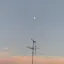 🌙のプロフィール画像