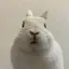 なのプロフィール画像