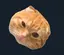 たぴのプロフィール画像