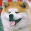 いちみのプロフィール画像