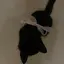 みりのプロフィール画像