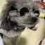 すずのプロフィール画像