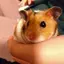 さなのプロフィール画像