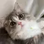 UIのプロフィール画像