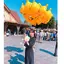 あかりのプロフィール画像