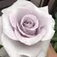 zamachiのプロフィール画像
