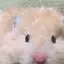 na.のプロフィール画像