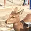 まきのプロフィール画像