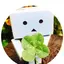 ruruのプロフィール画像