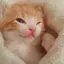 みとらのプロフィール画像