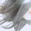 たまきのプロフィール画像