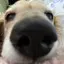fu-Koのプロフィール画像