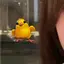 あんずのプロフィール画像