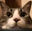 さちのプロフィール画像