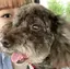 まえるのプロフィール画像