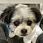 ゆいのプロフィール画像