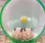 優のプロフィール画像