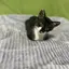 lieのプロフィール画像