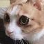 みのプロフィール画像
