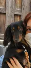 キャシーのプロフィール画像