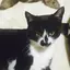 早紀のプロフィール画像