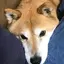 りななんのプロフィール画像