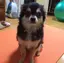 かれんのプロフィール画像