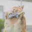 こなかのプロフィール画像