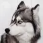 鳴海ありさのプロフィール画像