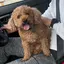 eriのプロフィール画像