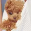 Aのプロフィール画像