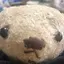 シのプロフィール画像