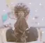 なおのプロフィール画像