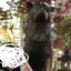 すーぱーあかちゃん!のプロフィール画像