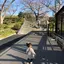 ゆうなのプロフィール画像