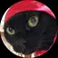 蘭ちゃんのプロフィール画像