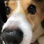 ashのプロフィール画像