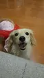 しおりのプロフィール画像