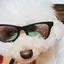 Mのプロフィール画像