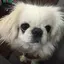 らなちゃんのプロフィール画像