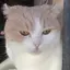 さきのプロフィール画像