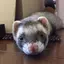 まりいのプロフィール画像