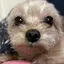 むにちゃんのプロフィール画像