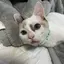 みさゆんのプロフィール画像