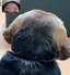 ゆうこのプロフィール画像