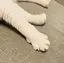 ゆかのプロフィール画像