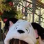 さくらのプロフィール画像
