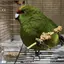 (੭˙˙)੭のプロフィール画像
