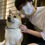 アンのプロフィール画像