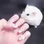 ぽるそのプロフィール画像
